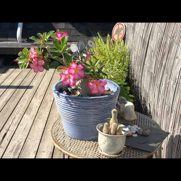 Meet your Posher, Sara - Picture 11 of 16